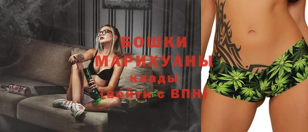 амф Верея