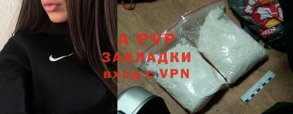 амф Верея