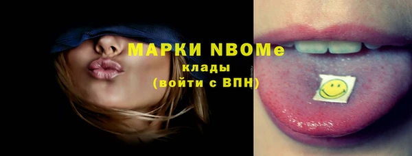 амф Верея