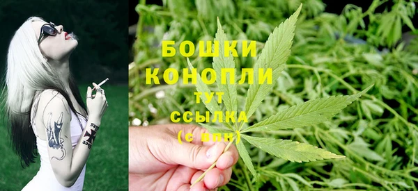 амф Верея