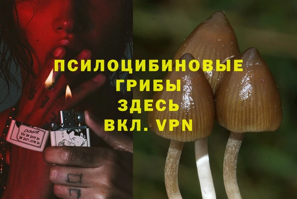 Альфа ПВП Верхний Тагил