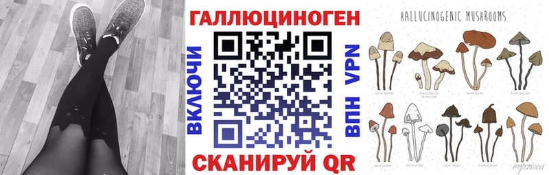 Купить где  Бобров  Псилоцибиновые грибы Magic Shrooms 